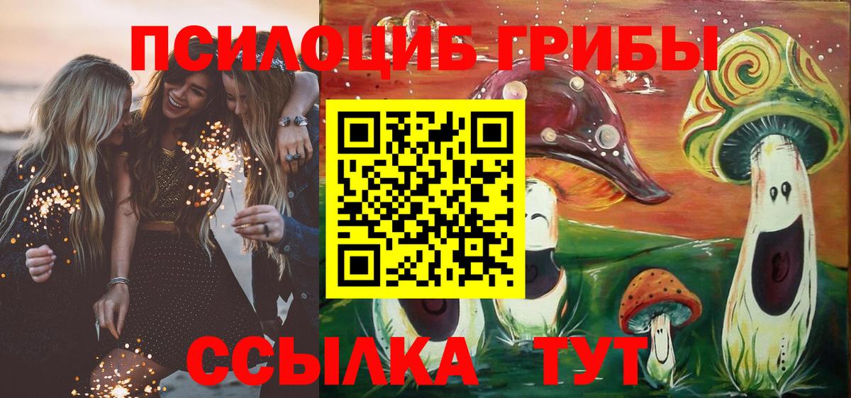 что такое   Вход с VPN  Железногорск  Галлюциногенные грибы мицелий 