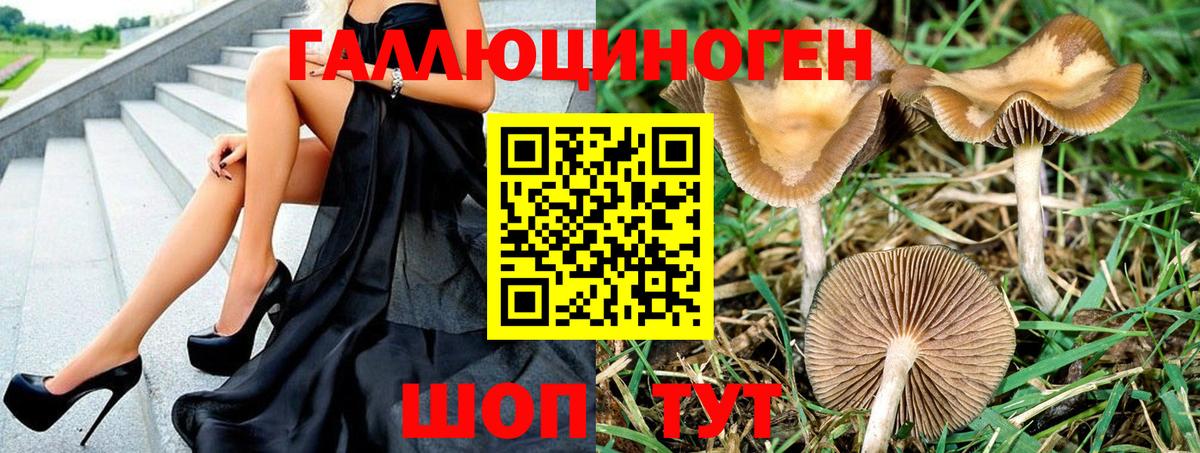 Галлюциногенные грибы ЛСД Железногорск